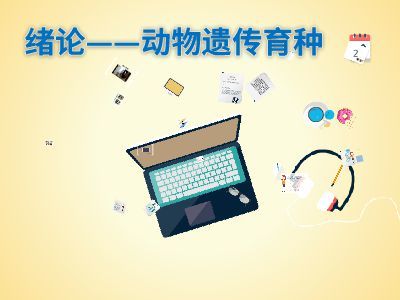 緒論 軟件設計制作——從概念到成品的藝術(shù)與工程