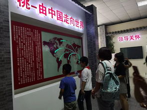 桃香引巧思，非遺潤童心——奉賢錢橋學校暑期親子體驗活動側記