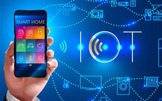 穿戴式檢測(cè)設(shè)備技術(shù)與物聯(lián)網(wǎng)生態(tài)系統(tǒng)的融合 網(wǎng)絡(luò)設(shè)備技術(shù)服務(wù)的核心驅(qū)動(dòng)